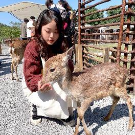 芸芸