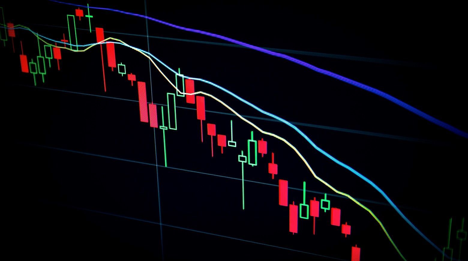 上班族必看 手機也能報稅 2021綜合所得稅申報重點懶人包 減稅 所得稅免稅額扣除額 課稅級距 累進稅率 股利所得 生活板 Popdaily 波波黛莉