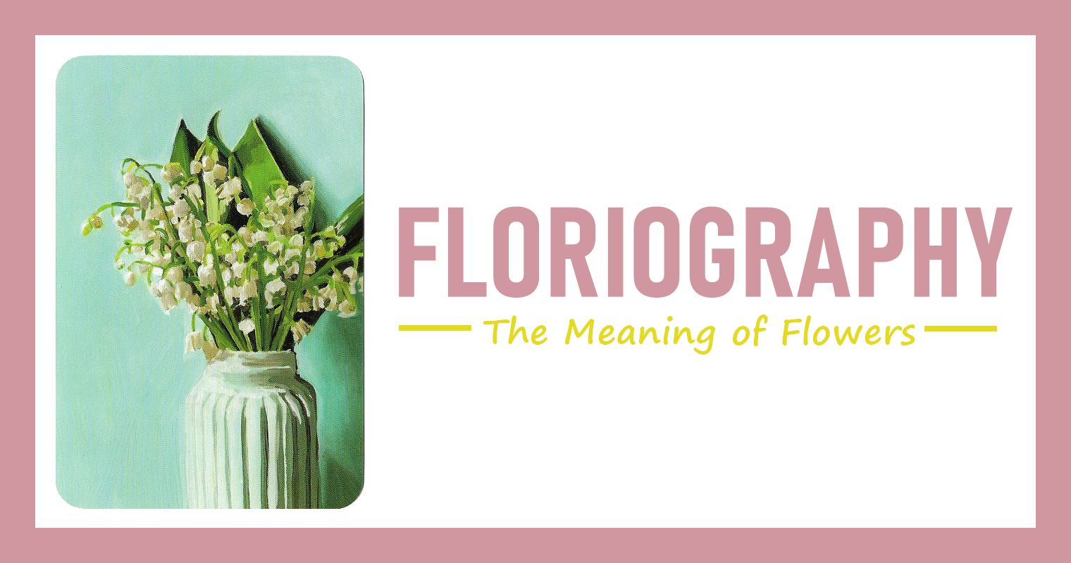 每日花語 鈴蘭 Lily Of The Valley 希望 Floriography 星座板 Popdaily 波波黛莉