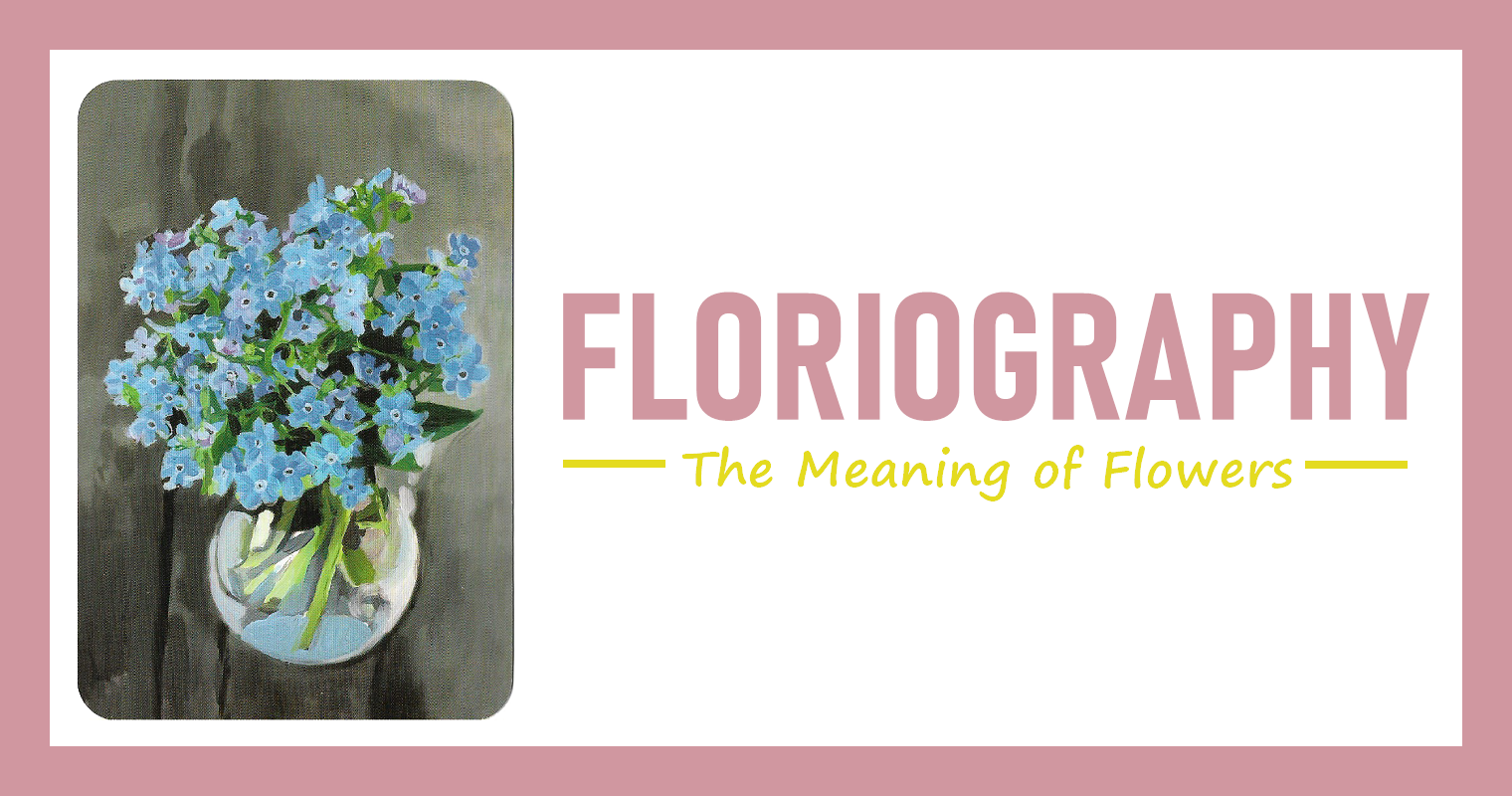 每日花語 勿忘草 Forget Me Not 懷念 Floriography 星座板 Popdaily 波波黛莉