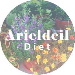 Ariel減肥飲食日記