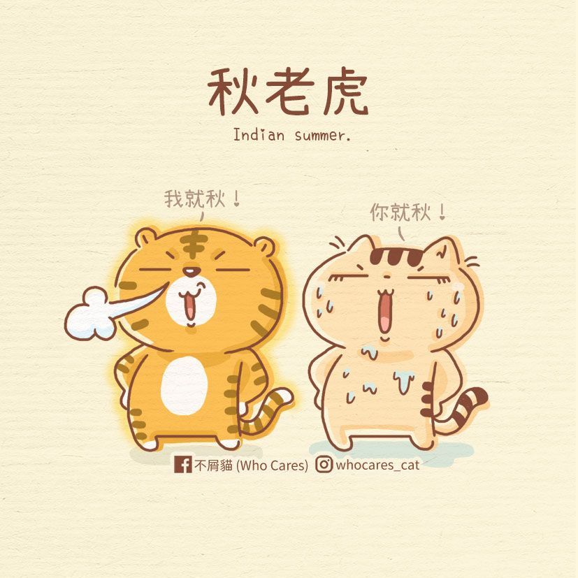 在聖誕節的可愛小貓 💕  Cute anime cat, Cute cartoon wallpapers