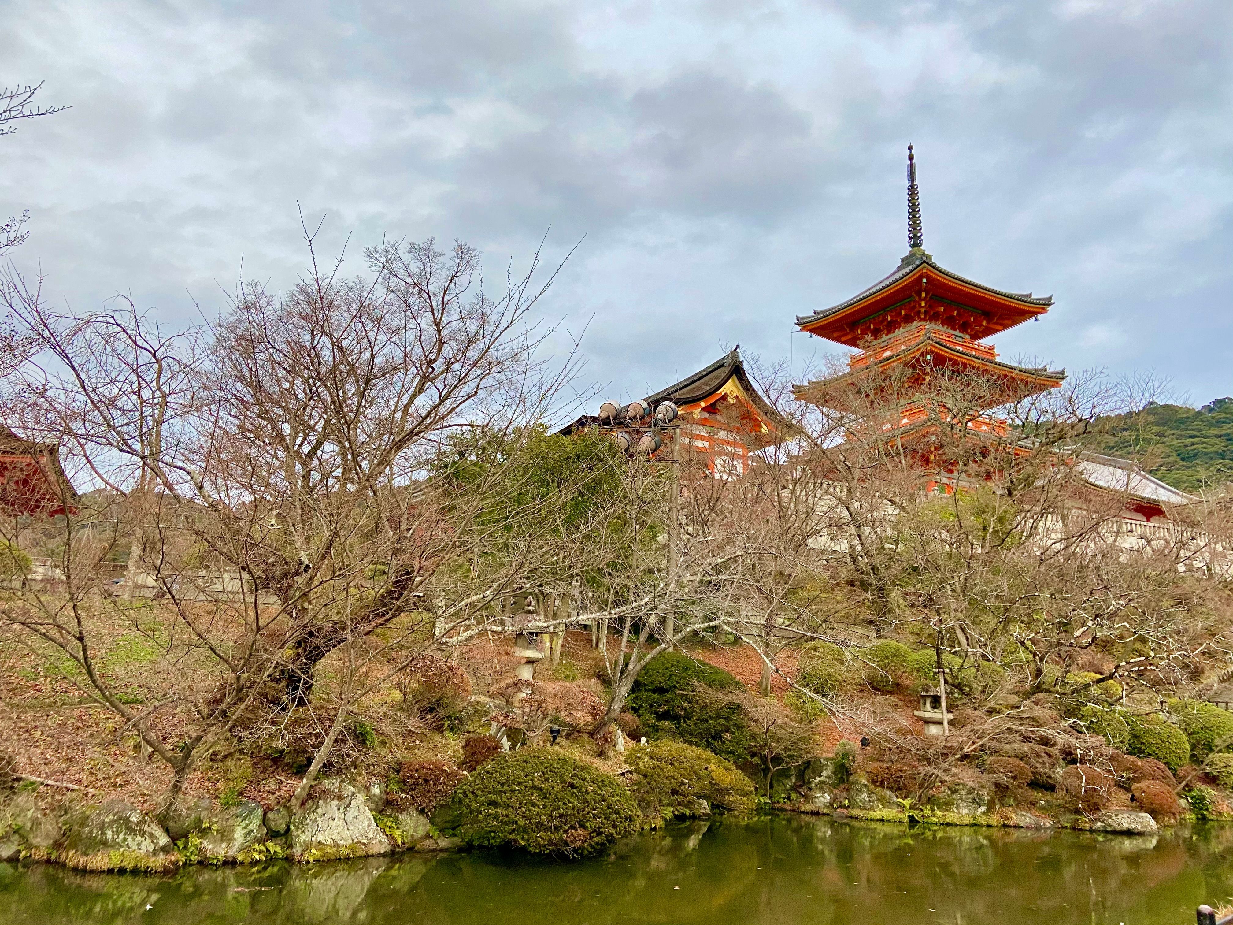 京都景點】世界文化遺產巡禮首站|尋訪千年歷史的賀茂御祖神社順著鴨江 