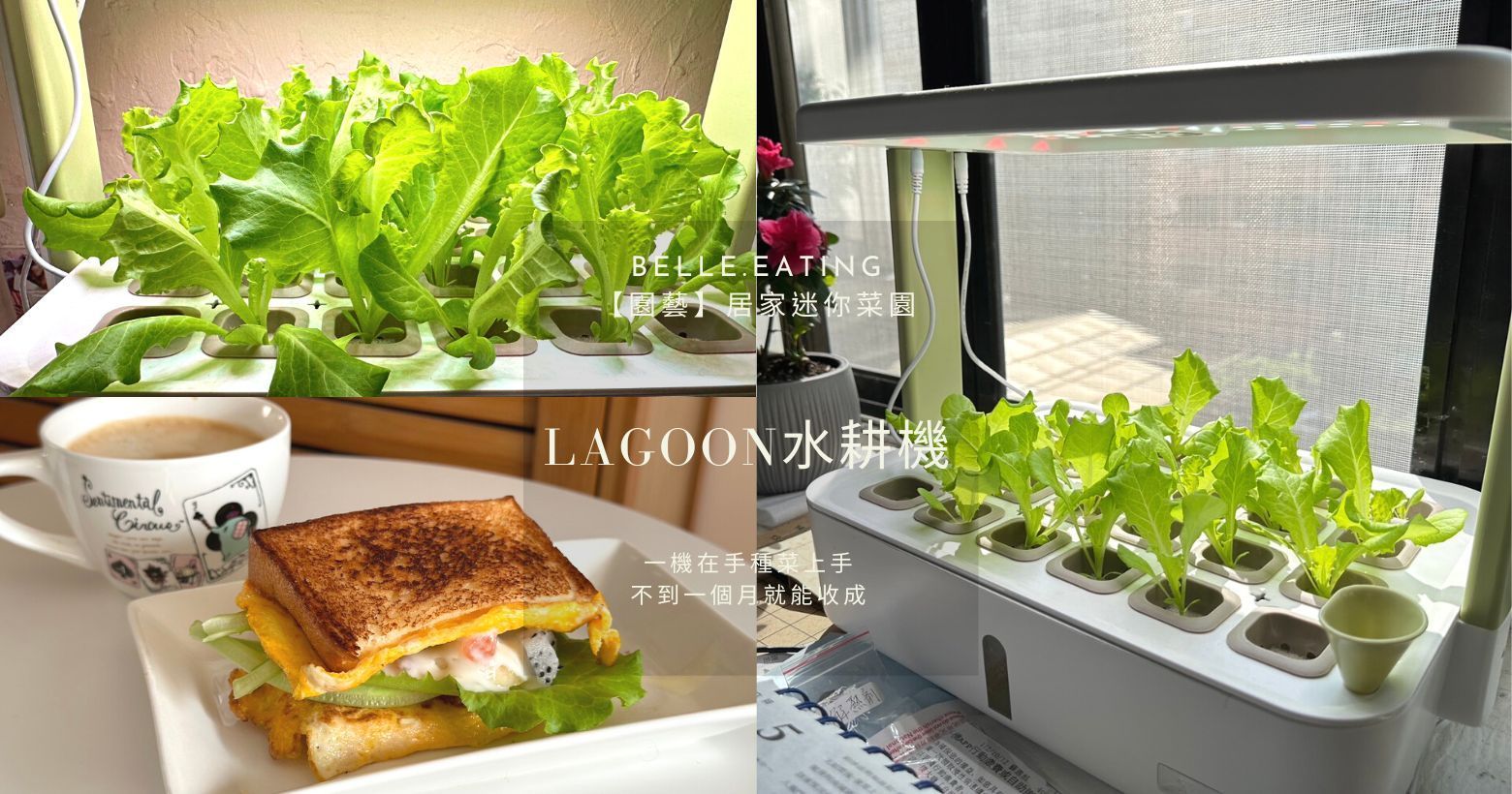 【園藝】居家迷你菜園｜Lagoon水耕機 超療癒種菜 一機在