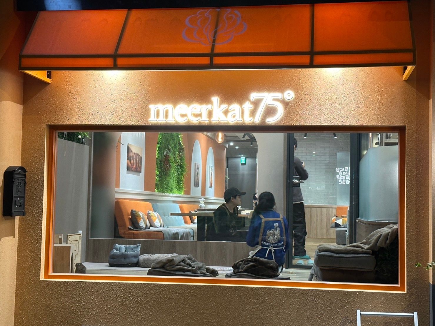 【台北】新店開幕｜台北最萌動物餐廳！Meerkat75 Ca