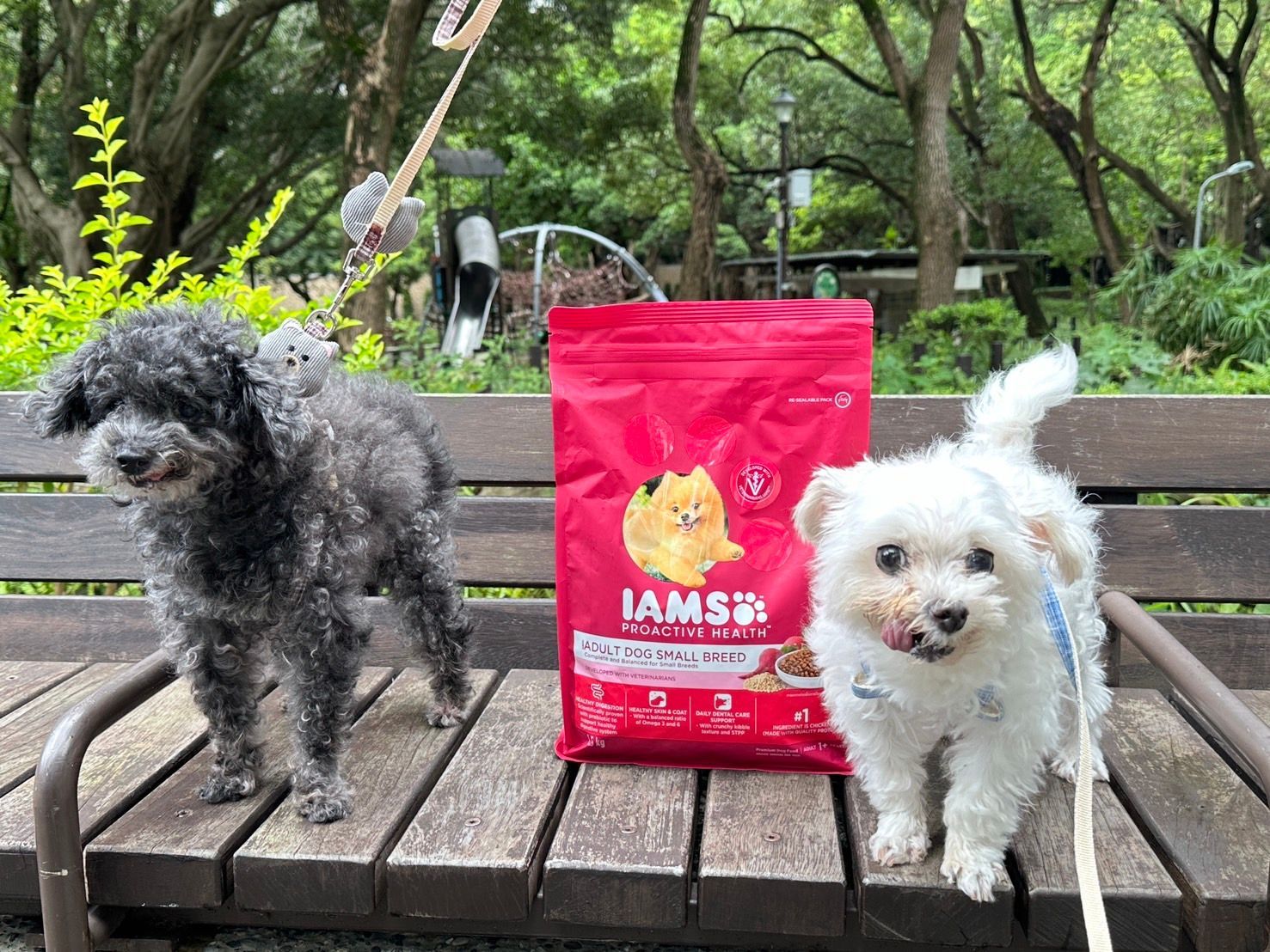 【狗狗飼料推薦】IAMS™愛慕思™ 健康優活系列 小型成犬營