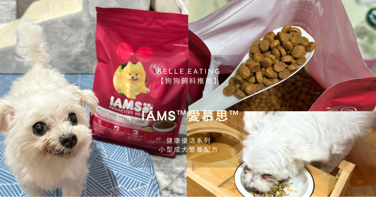 【狗狗飼料推薦】IAMS™愛慕思™ 健康優活系列 小型成犬營