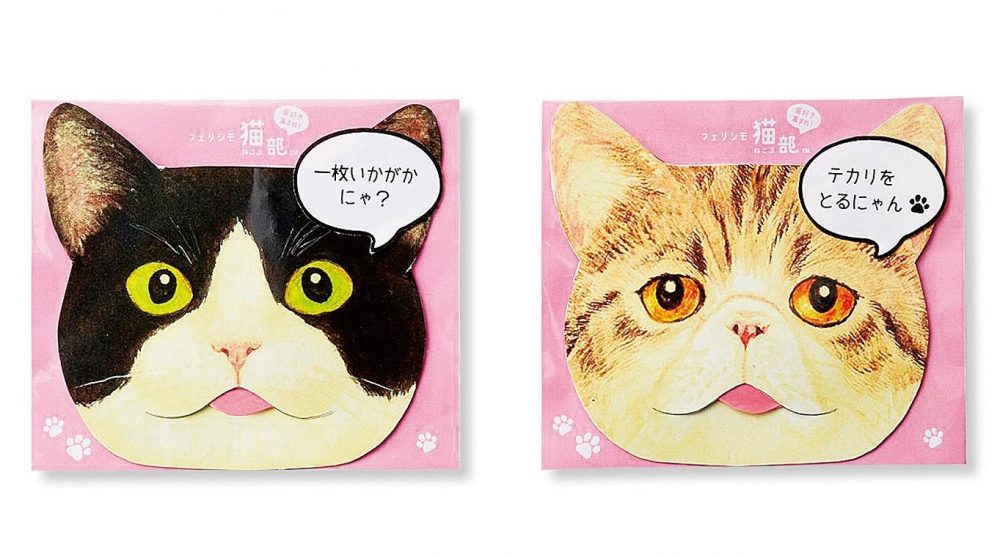 貓奴注意！日本超人氣FELISSIMO貓部進駐Pinkoi，精選5款資深貓奴必備單品