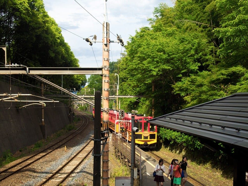 【京都嵐山】在夏日的嵯峨野，坐著小鐵礦列車來一場心靈之旅吧！