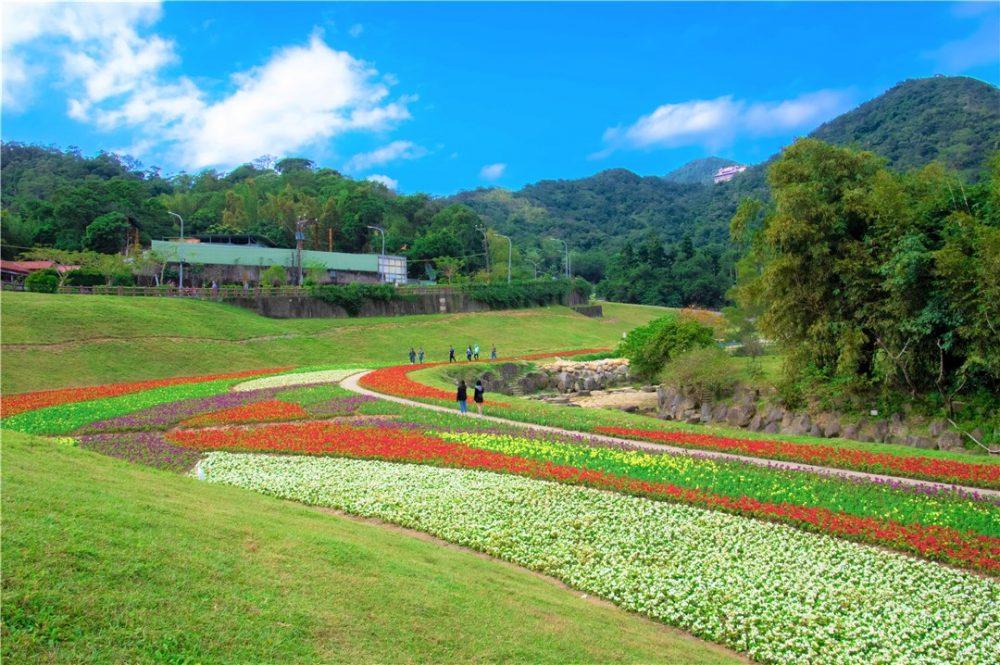 【台北】隱藏版後花園在這！捷運就能輕鬆到達的療癒小天地，百坪花海、寬敞草坪，輕鬆放電一整天！