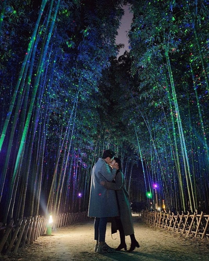 【韓國】超夢幻「銀河系竹林」！免費約會景點來這太浪漫，閃爍點點星光彷彿滿天星斗觸手可及！