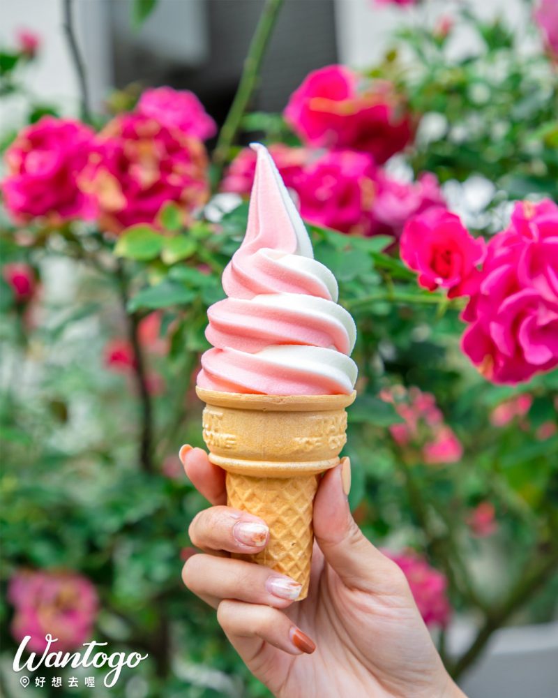 【苗栗】全台最大玫瑰森林免費拍，期間限定花季市集、玫瑰冰淇淋、萬朵繽紛花海，香氛滿點的超紓壓步道就在這！
