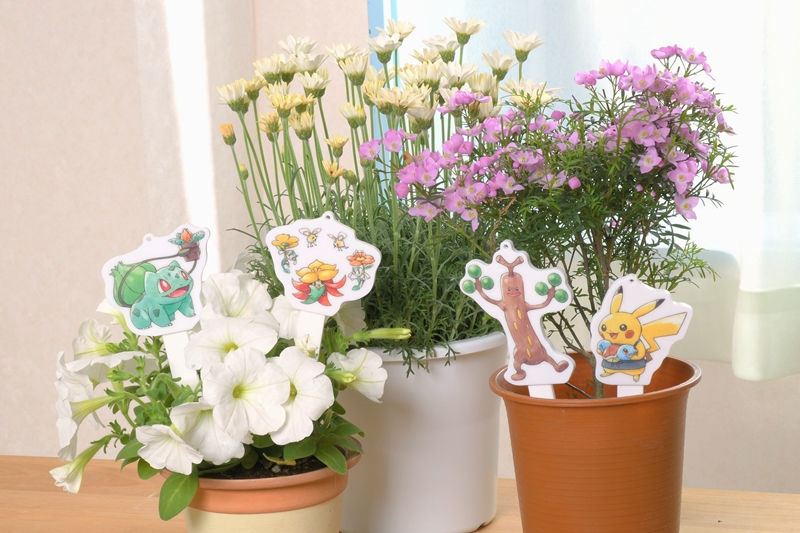 傑尼龜幫忙澆花！日本寶可夢推出療癒系園藝小物，激萌「草系盆栽」引熱議