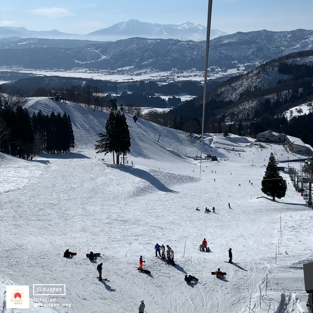 野澤滑雪